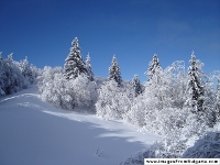 ヴィトシャ山：冬景色